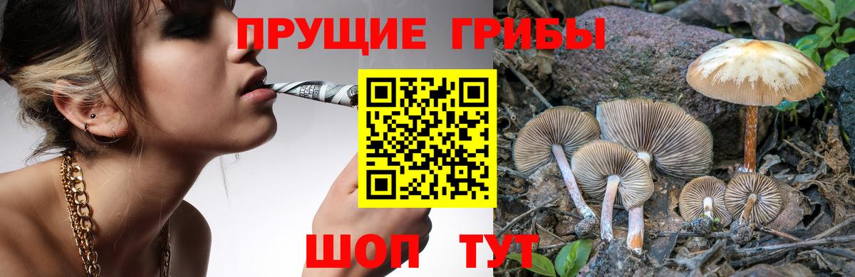 Галлюциногенные грибы мицелий Балаково